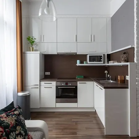 Apartment Vintage Downtown By Izabell *